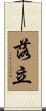 落立 Scroll