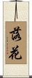落花 Scroll