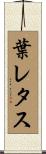 葉レタス Scroll