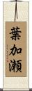 葉加瀬 Scroll