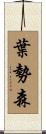 葉勢森 Scroll