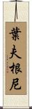 Evgeny Scroll