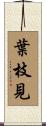 葉枝見 Scroll
