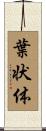 葉状体 Scroll