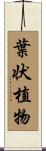 葉状植物 Scroll