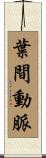 葉間動脈 Scroll