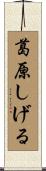 葛原しげる Scroll