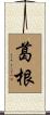 葛根 Scroll