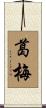 葛梅 Scroll