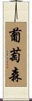 葡萄森 Scroll