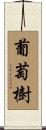 葡萄樹 Scroll