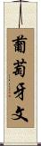 葡萄牙文 Scroll