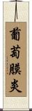 葡萄膜炎 Scroll