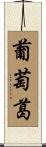 葡萄葛 Scroll