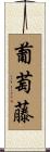 葡萄藤 Scroll