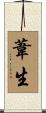葦生 Scroll