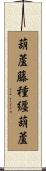 葫蘆藤種纒葫蘆 Scroll