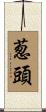 葱頭 Scroll