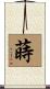 蒔 Scroll