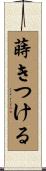 蒔きつける Scroll