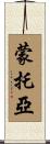 Montoya Scroll