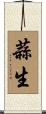 蒜生 Scroll