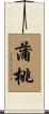 蒲桃 Scroll
