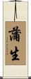 蒲生 Scroll