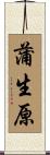 蒲生原 Scroll