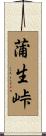 蒲生峠 Scroll