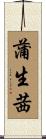 蒲生茜 Scroll