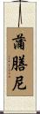 蒲膳尼 Scroll