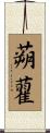 蒴藋 Scroll