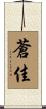 蒼佳 Scroll