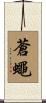 蒼蠅 Scroll