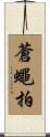 蒼蠅拍 Scroll