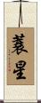 蓑星 Scroll
