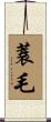 蓑毛 Scroll