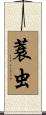 蓑虫 Scroll