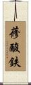 蓚酸鉄 Scroll