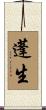 蓬生 Scroll