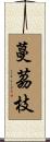 蔓茘枝 Scroll