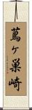 蔦ヶ巣崎 Scroll