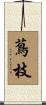 蔦枝 Scroll