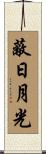 蔽日月光 Scroll
