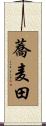 蕎麦田 Scroll