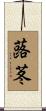 蕗苳 Scroll