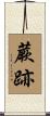 蕨跡 Scroll