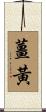 薑黃 Scroll
