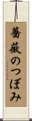薔薇のつぼみ Scroll